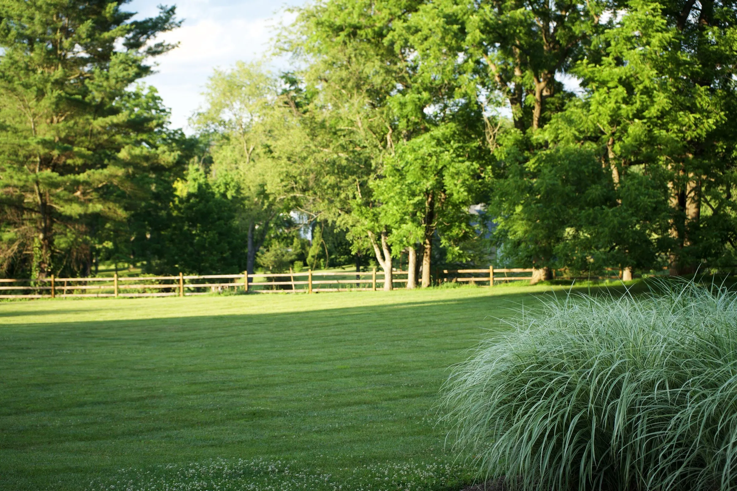 The private, tree-lined grounds at the Chadds Ford office: an open lawn edged by a split-rail fence, with ornamental grasses at golden hour
